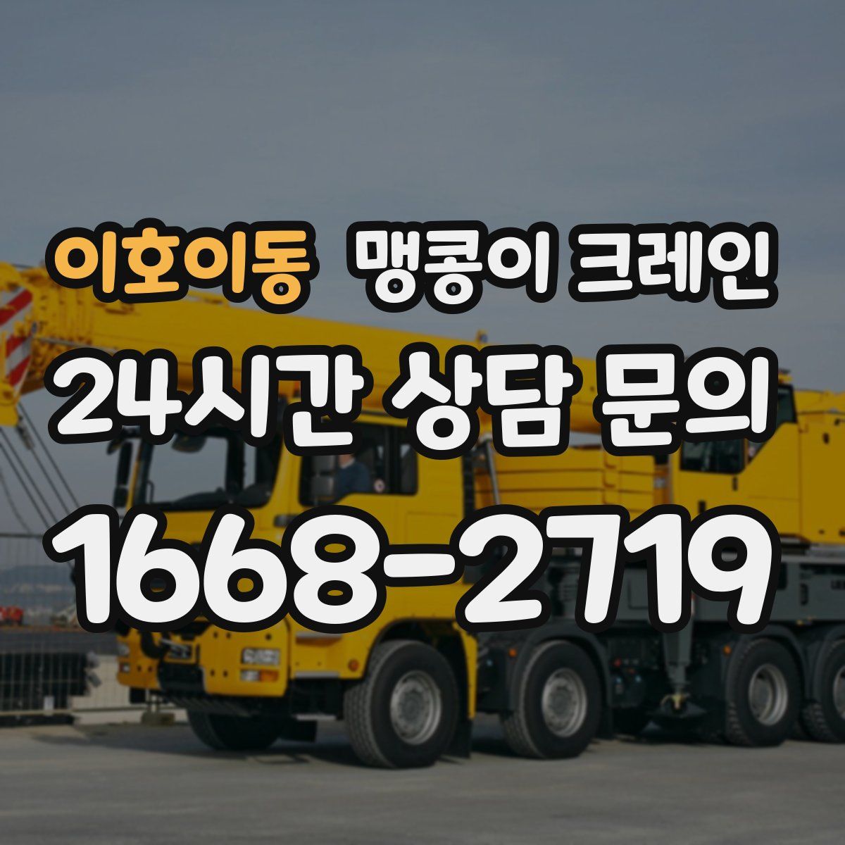 이호이동 맹콩이 크레인