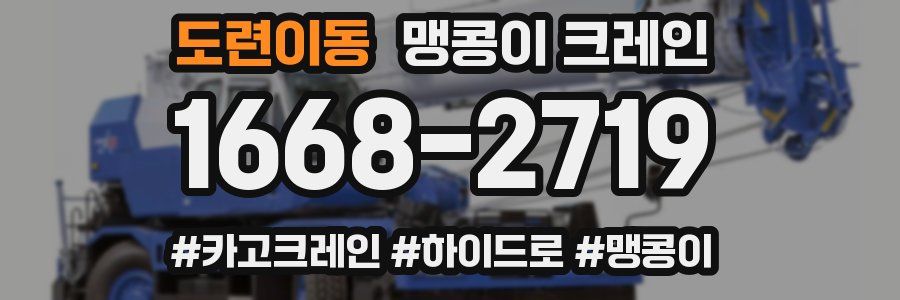 도련이동 맹콩이 크레인