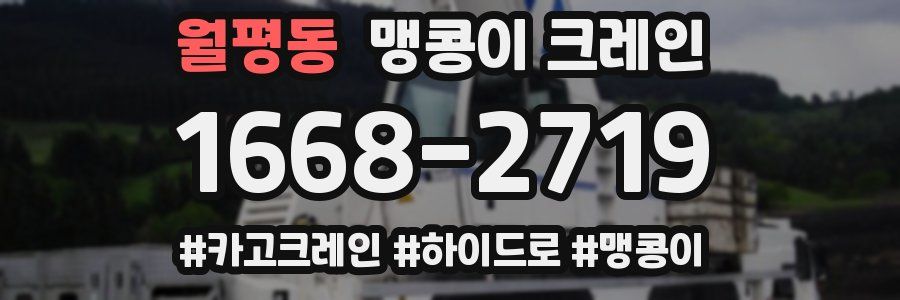 월평동 맹콩이 크레인