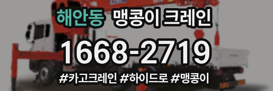 해안동 맹콩이 크레인