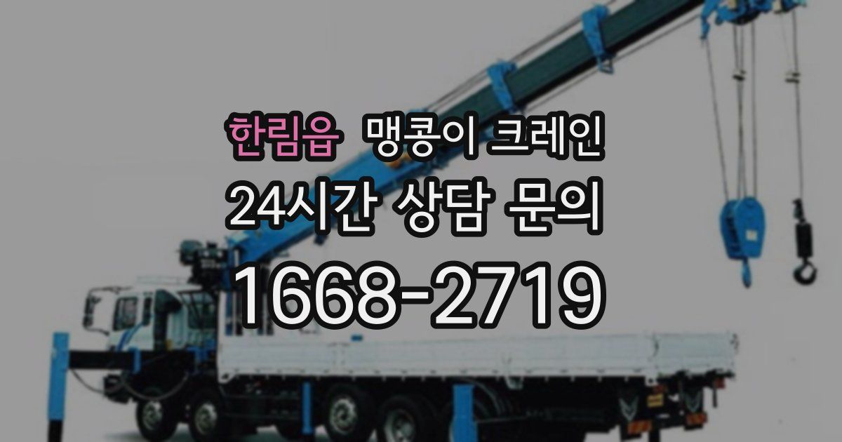 한림읍 맹콩이 크레인