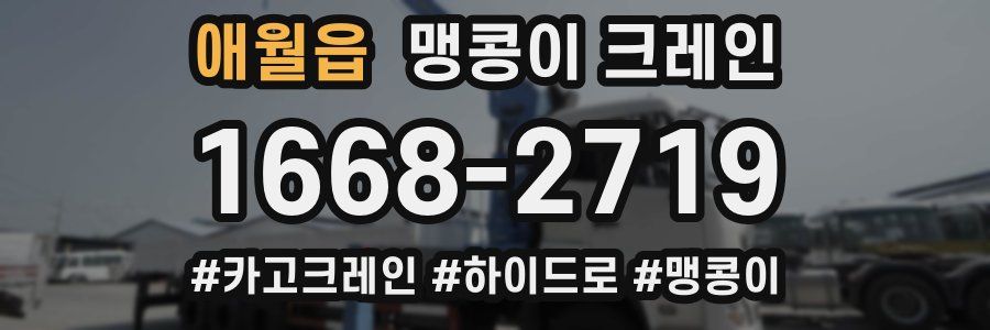 애월읍 맹콩이 크레인