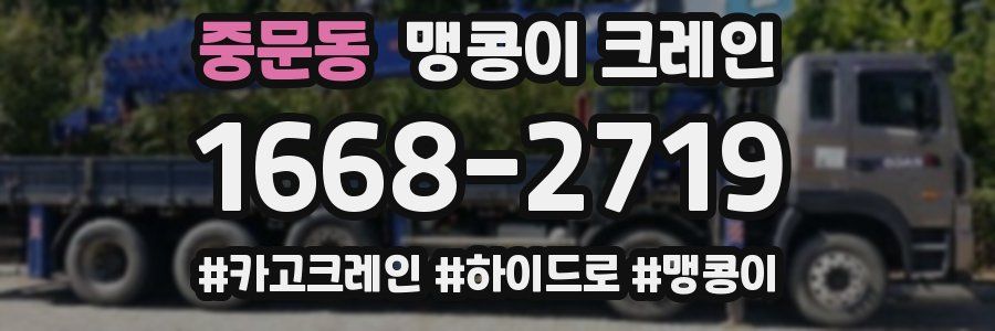 중문동 맹콩이 크레인