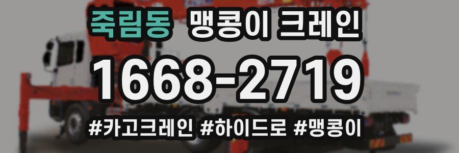 죽림동 맹콩이 크레인