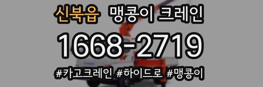 신북읍 맹콩이 크레인