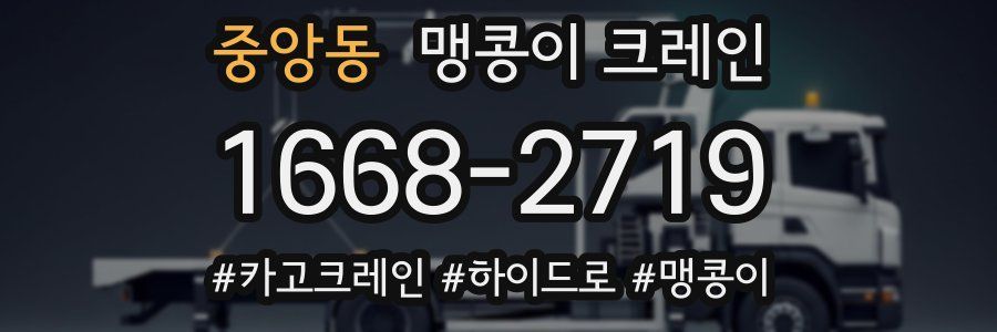 중앙동 맹콩이 크레인