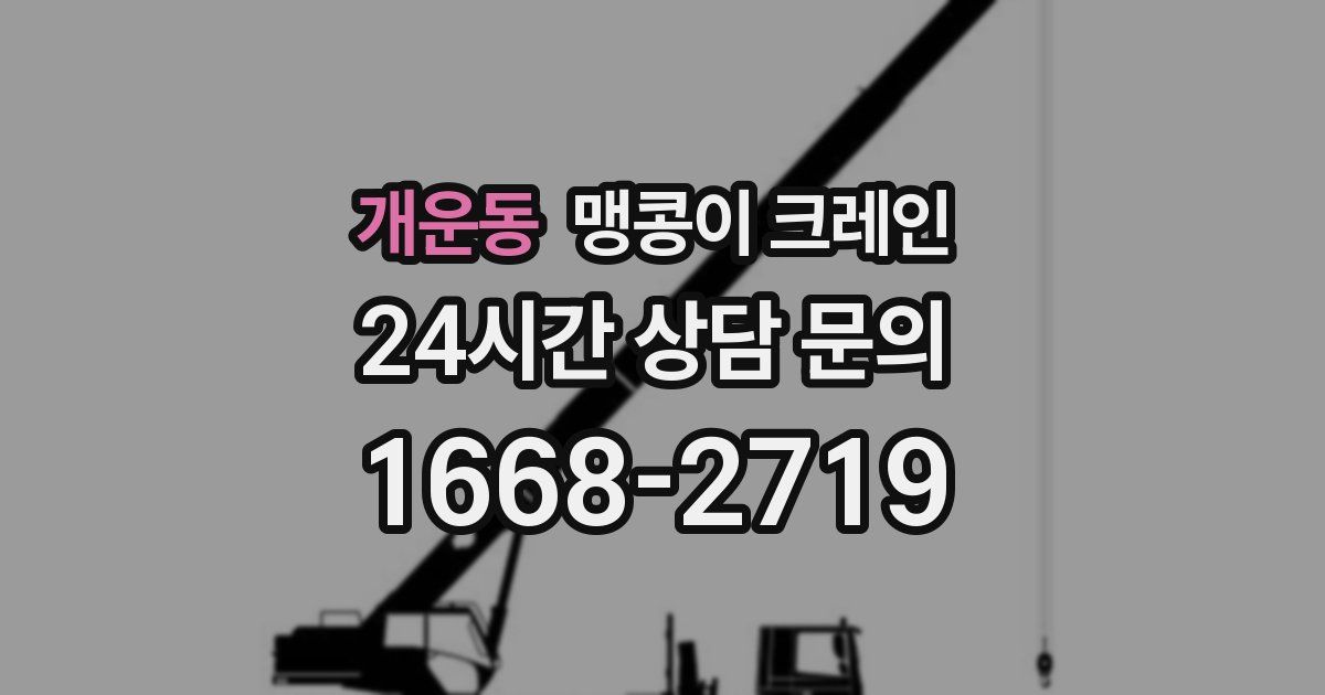 개운동 맹콩이 크레인