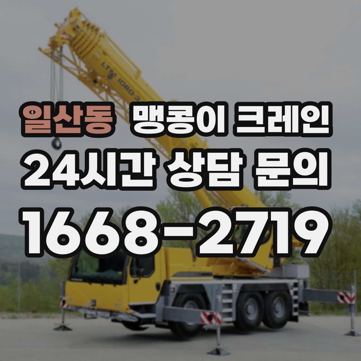 일산동 맹콩이 크레인
