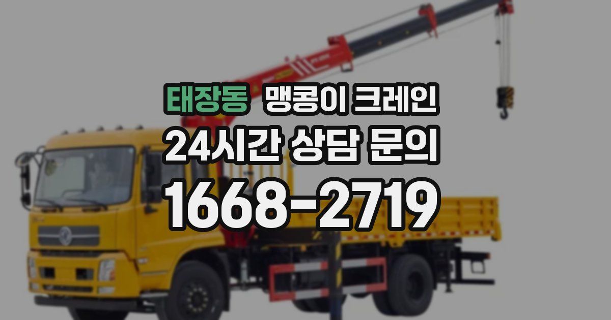 태장동 맹콩이 크레인