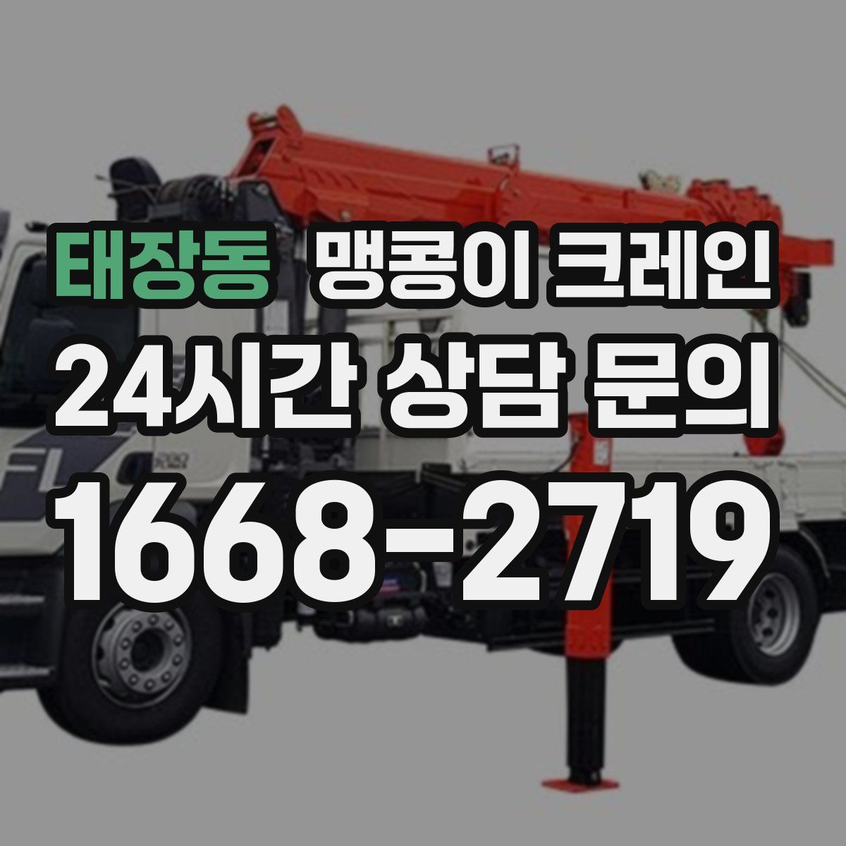 태장동 맹콩이 크레인