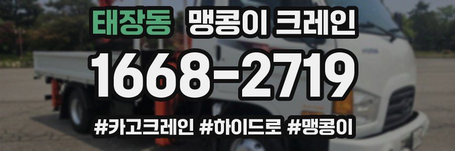 태장동 맹콩이 크레인