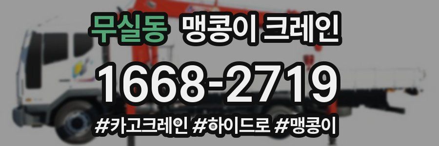무실동 맹콩이 크레인