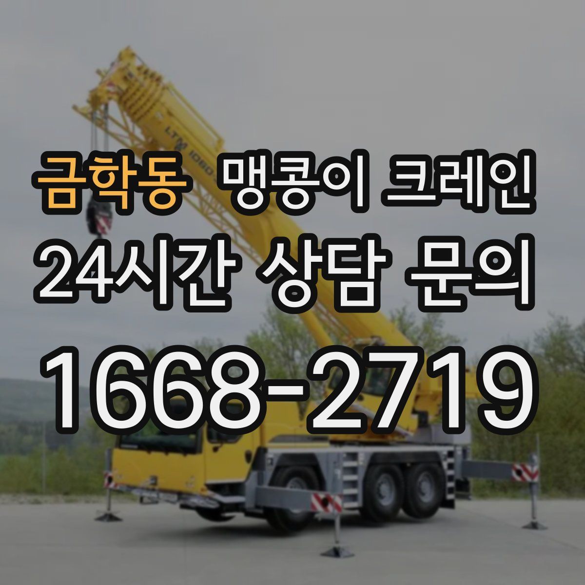 금학동 맹콩이 크레인