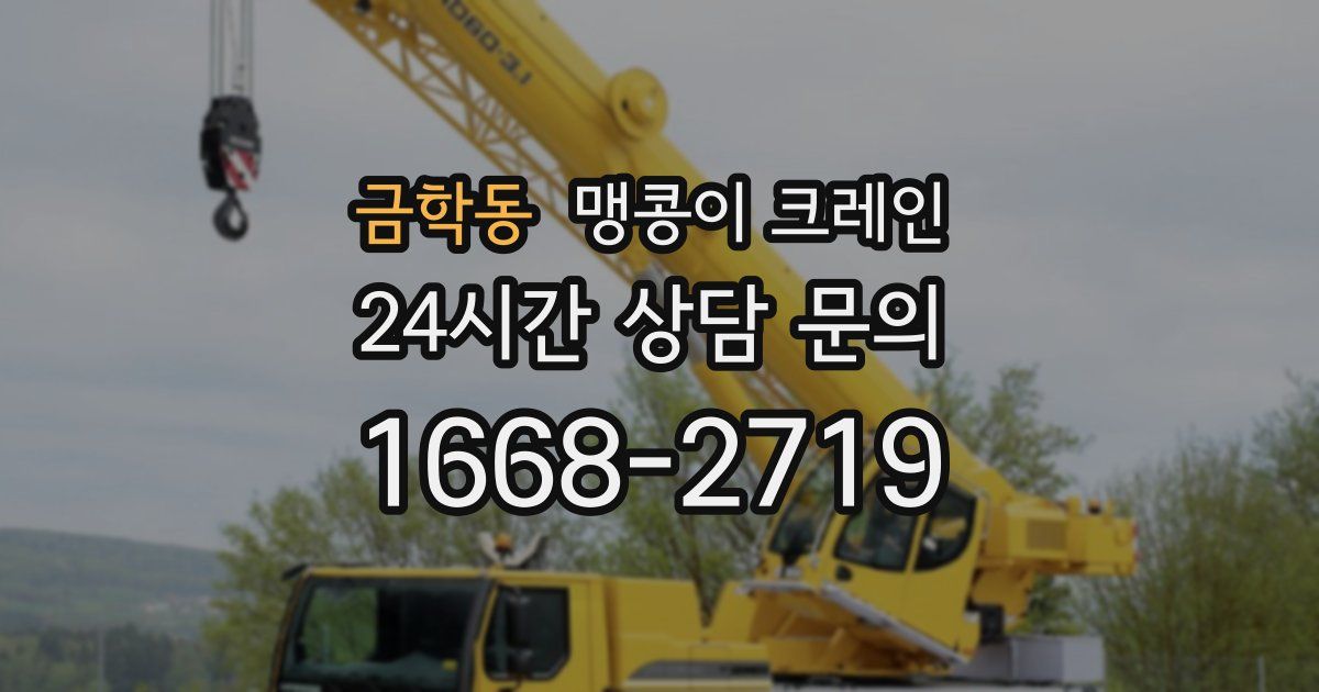 금학동 맹콩이 크레인