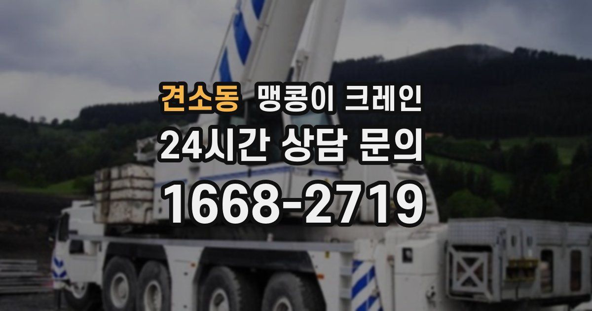 견소동 맹콩이 크레인