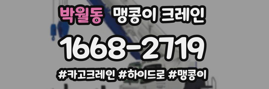 박월동 맹콩이 크레인