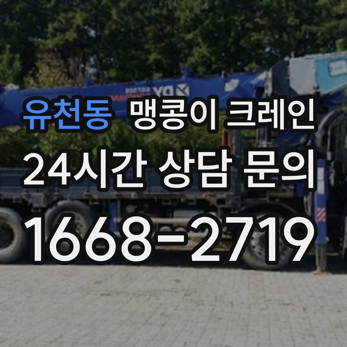 유천동 맹콩이 크레인