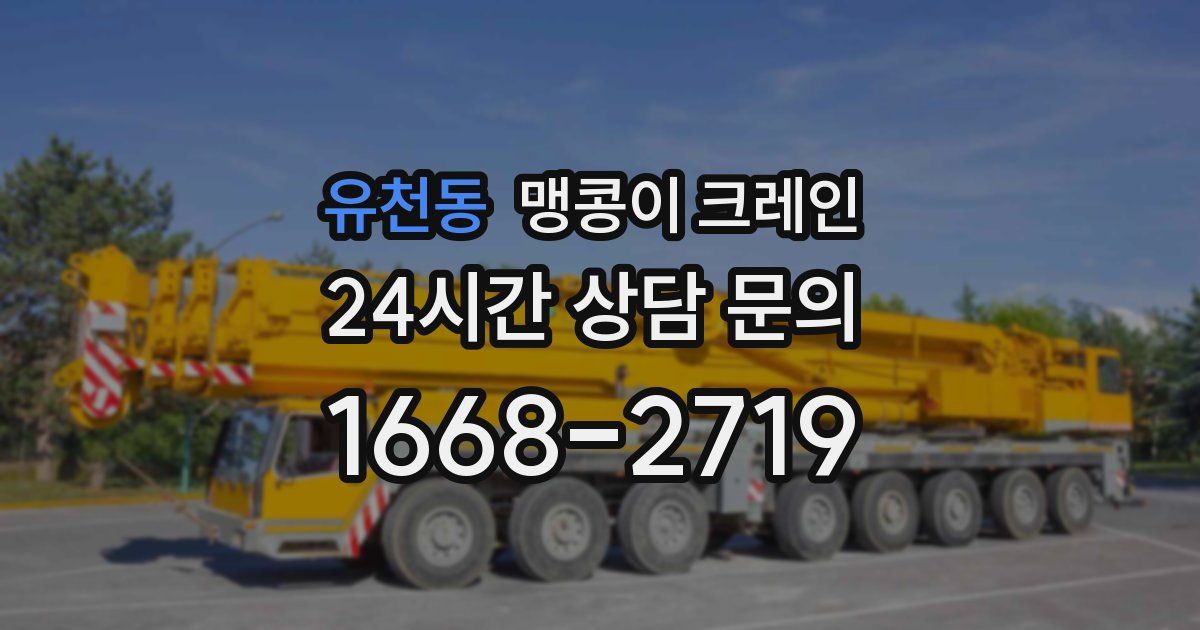 유천동 맹콩이 크레인
