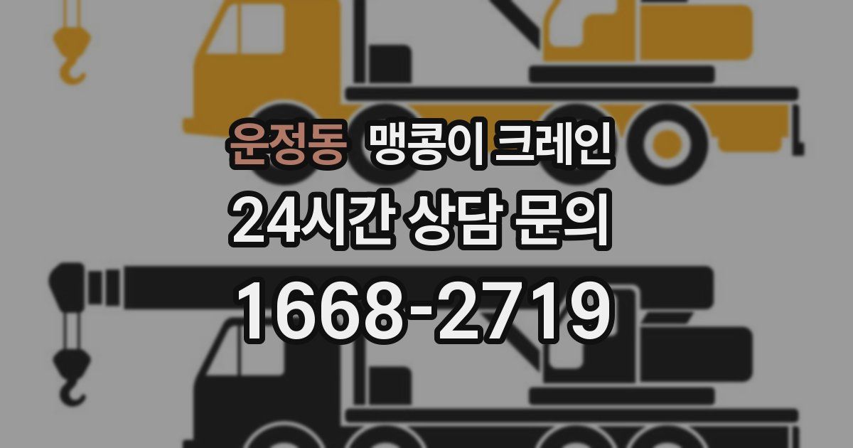 운정동 맹콩이 크레인