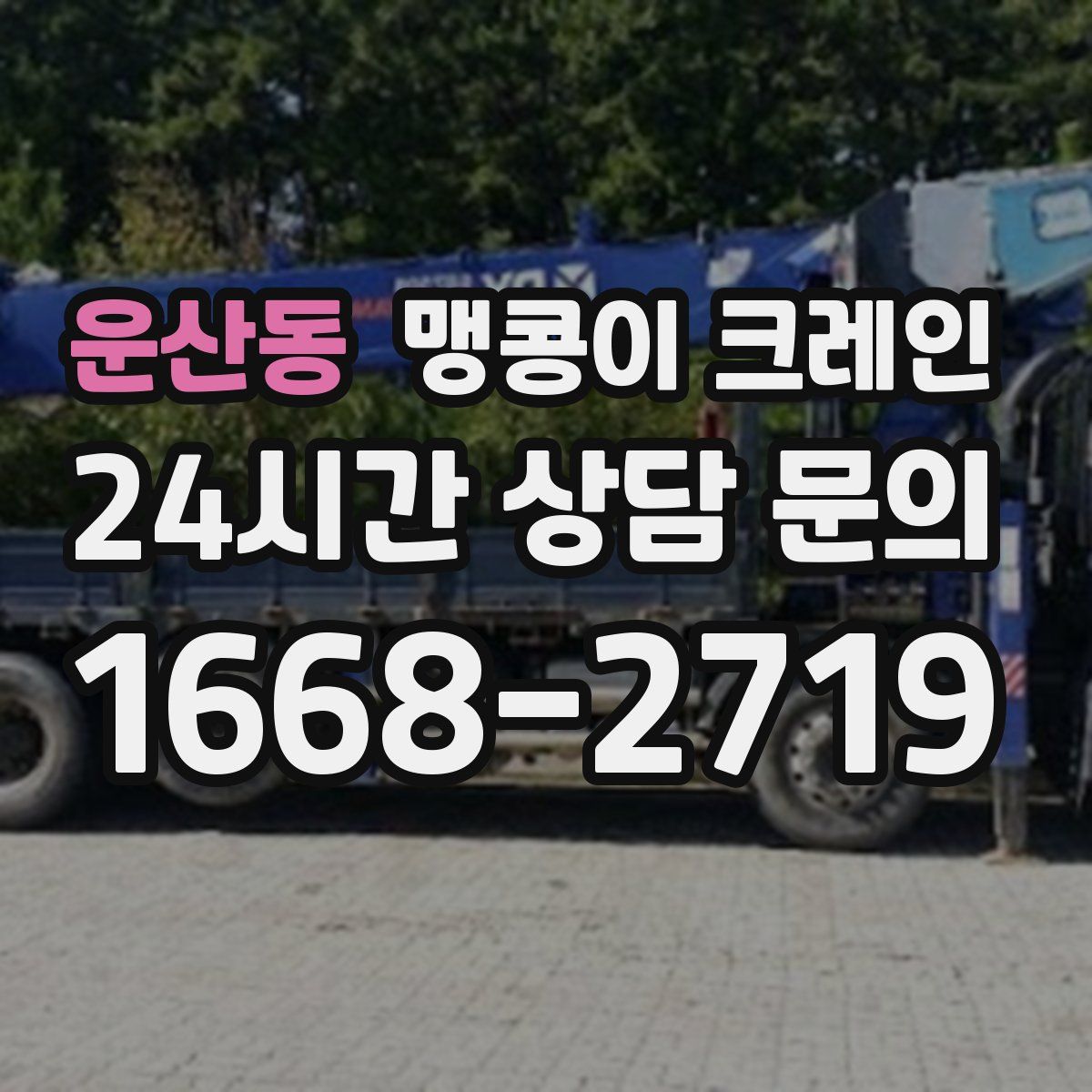 운산동 맹콩이 크레인