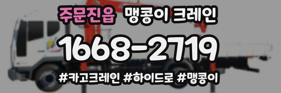 주문진읍 맹콩이 크레인