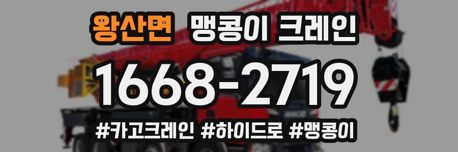 왕산면 맹콩이 크레인