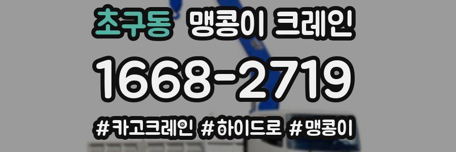 초구동 맹콩이 크레인