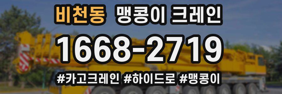 비천동 맹콩이 크레인