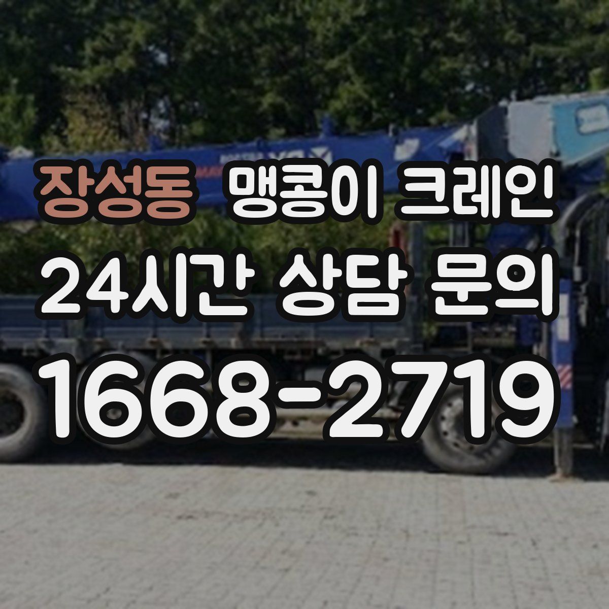장성동 맹콩이 크레인