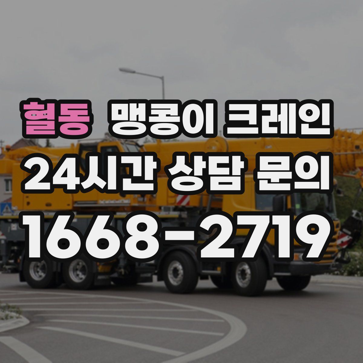 혈동 맹콩이 크레인