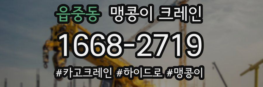 읍중동 맹콩이 크레인