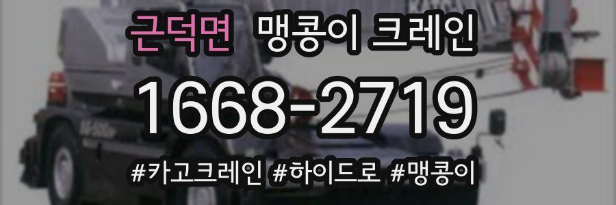 근덕면 맹콩이 크레인