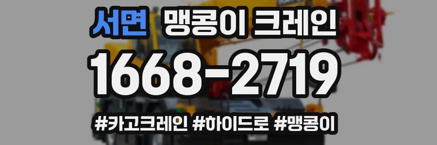 서면 맹콩이 크레인