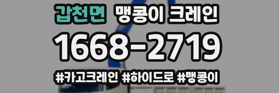 갑천면 맹콩이 크레인