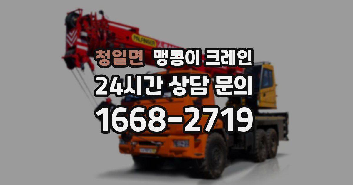 청일면 맹콩이 크레인