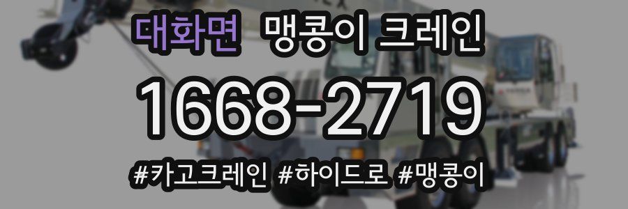 대화면 맹콩이 크레인