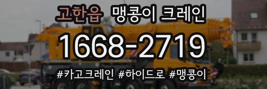 고한읍 맹콩이 크레인