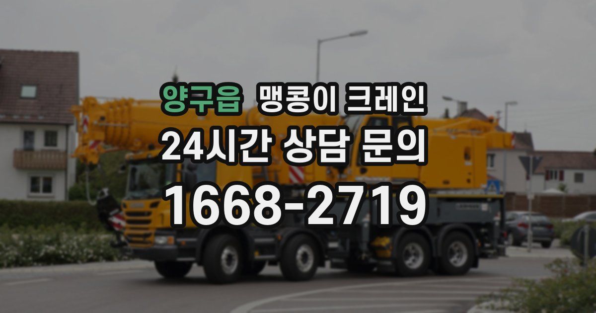 양구읍 맹콩이 크레인