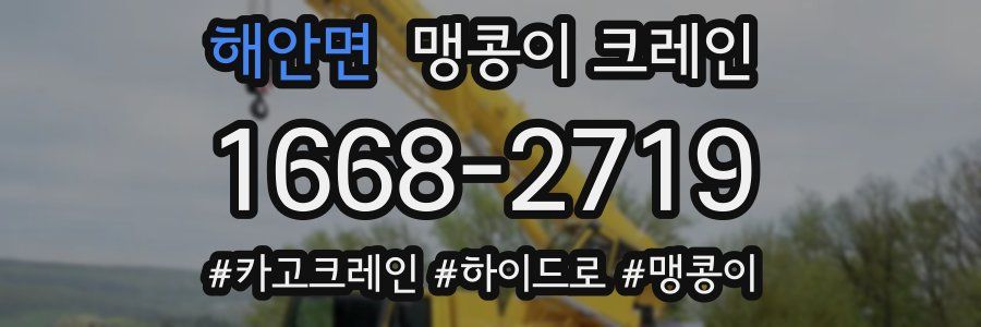 해안면 맹콩이 크레인