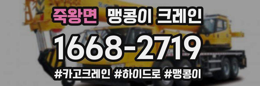 죽왕면 맹콩이 크레인