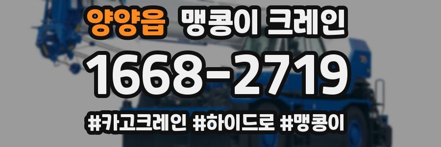 양양읍 맹콩이 크레인