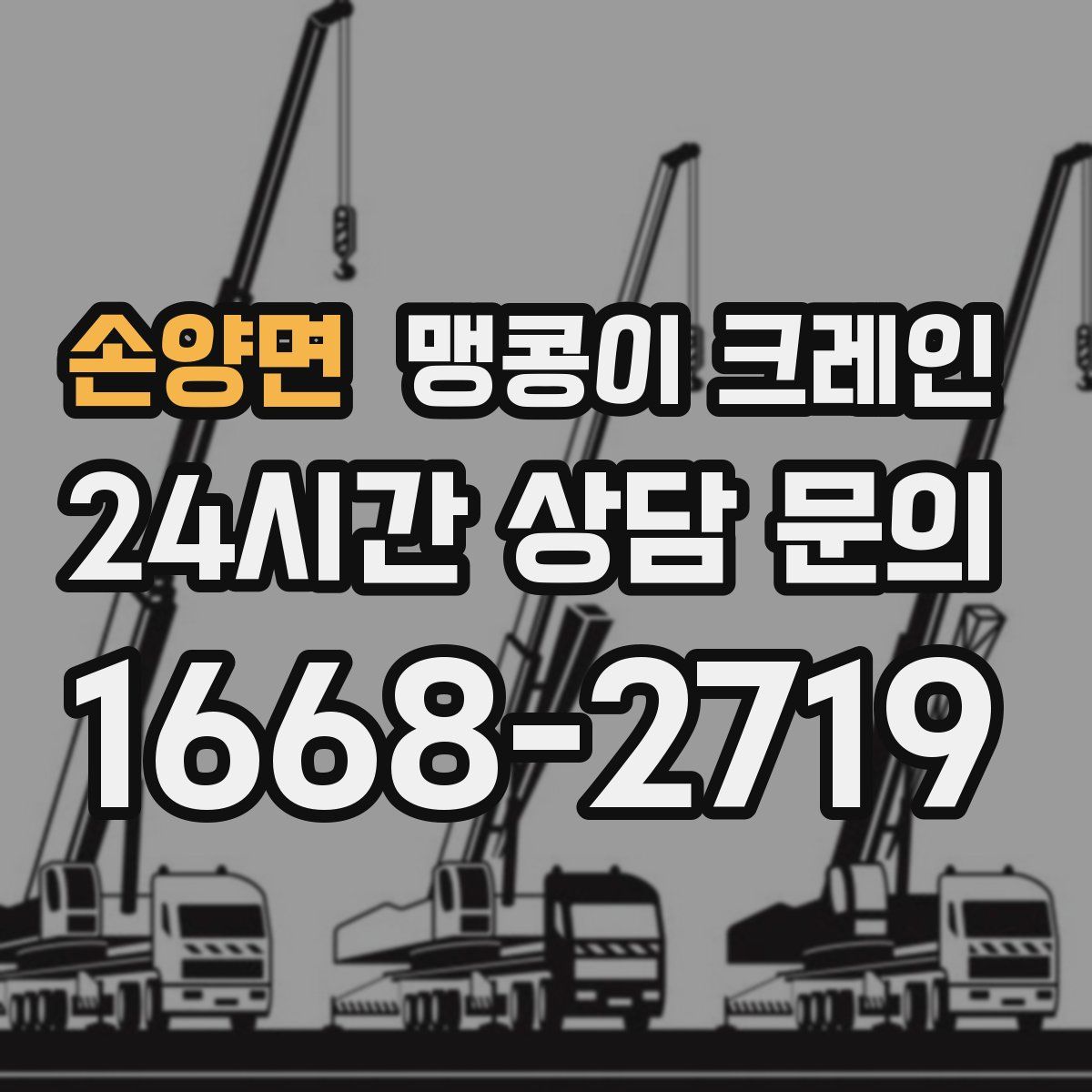 손양면 맹콩이 크레인