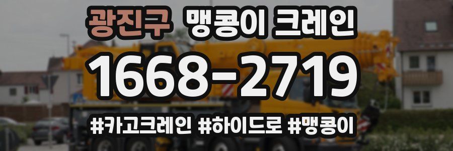광진구 맹콩이 크레인