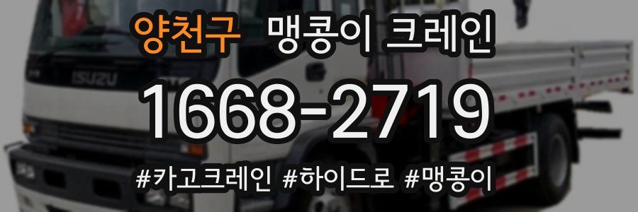 양천구 맹콩이 크레인