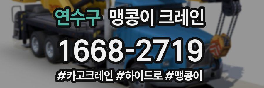 연수구 맹콩이 크레인