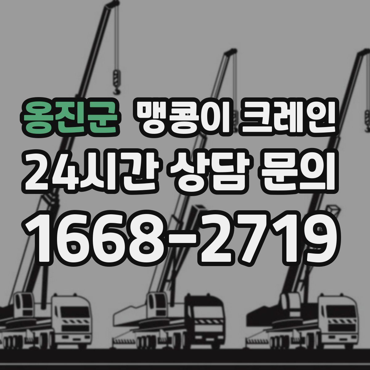 옹진군 맹콩이 크레인