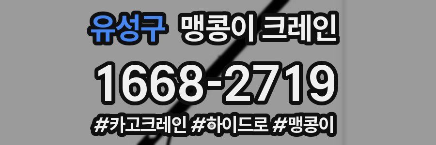 유성구 맹콩이 크레인