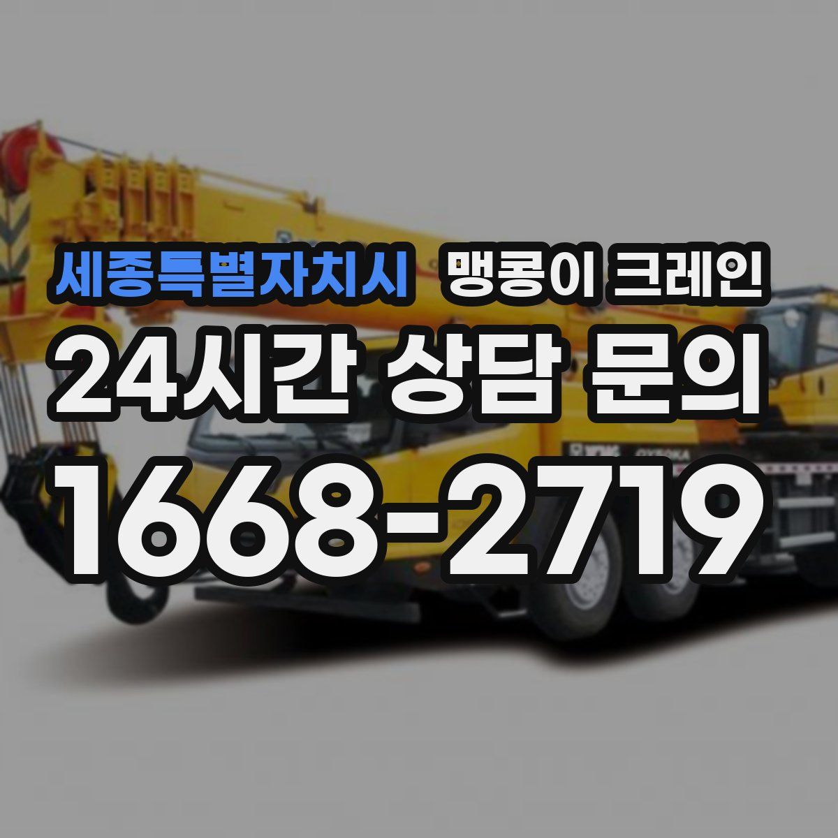 세종특별자치시 맹콩이 크레인