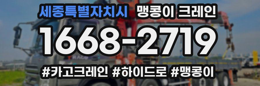 세종특별자치시 맹콩이 크레인