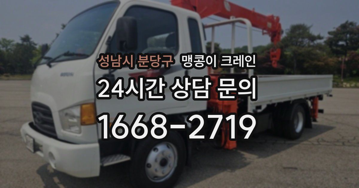 성남시 분당구 맹콩이 크레인